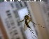  ( - FinMyc249)  @12 [ ] Unspecified (default): All Rights Reserved (2011) Unspecified NHMO