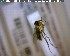  ( - FinMyc253)  @12 [ ] Unspecified (default): All Rights Reserved (2011) Unspecified NHMO