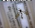  ( - FinMyc265)  @12 [ ] Unspecified (default): All Rights Reserved (2011) Unspecified NHMO