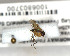  ( - FinMyc333)  @12 [ ] Unspecified (default): All Rights Reserved (2011) Unspecified NHMO