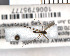  ( - FinMyc352)  @12 [ ] Unspecified (default): All Rights Reserved (2011) Unspecified NHMO