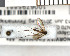 ( - FinMyc353)  @12 [ ] Unspecified (default): All Rights Reserved (2011) Unspecified NHMO