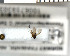  (Sceptonia fumipes_JKJ-06 - FinMyc371)  @12 [ ] Unspecified (default): All Rights Reserved (2011) Unspecified NHMO