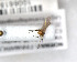  ( - FinMyc376)  @12 [ ] Unspecified (default): All Rights Reserved (2011) Unspecified NHMO