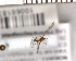  ( - FinMyc377)  @12 [ ] Unspecified (default): All Rights Reserved (2011) Unspecified NHMO