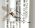  ( - FinMyc378)  @11 [ ] Unspecified (default): All Rights Reserved (2011) Unspecified NHMO
