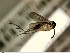  ( - FinMyc401)  @12 [ ] Unspecified (default): All Rights Reserved (2012) Unspecified NHMO