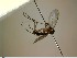  ( - FinMyc405)  @12 [ ] Unspecified (default): All Rights Reserved (2012) Unspecified NHMO