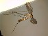  ( - FinMyc418)  @12 [ ] Unspecified (default): All Rights Reserved (2012) Unspecified NHMO