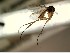  ( - FinMyc425)  @13 [ ] Unspecified (default): All Rights Reserved (2012) Unspecified NHMO