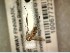  ( - FinMyc435)  @12 [ ] Unspecified (default): All Rights Reserved (2012) Unspecified NHMO