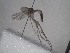  ( - FinMyc111)  @12 [ ] Unspecified (default): All Rights Reserved (2011) Unspecified NHMO