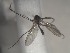  ( - FinMyc124)  @12 [ ] Unspecified (default): All Rights Reserved (2011) Unspecified NHMO