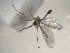  ( - FinMyc153)  @12 [ ] Unspecified (default): All Rights Reserved (2011) Unspecified NHMO