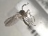  ( - FinMyc154)  @12 [ ] Unspecified (default): All Rights Reserved (2011) Unspecified NHMO