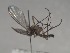  ( - FinMyc160)  @12 [ ] Unspecified (default): All Rights Reserved (2011) Unspecified NHMO