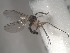  ( - FinMyc161)  @12 [ ] Unspecified (default): All Rights Reserved (2011) Unspecified NHMO