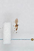  ( - FinMyc46)  @12 [ ] Copyright (2011) University of Oslo, Natural History Museum University of Oslo, Natural History Museum