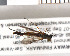  ( - NoAni001)  @13 [ ] Unspecified (default): All Rights Reserved (2011) Unspecified NHMO