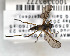  ( - NoAni008)  @13 [ ] Unspecified (default): All Rights Reserved (2011) Unspecified NHMO