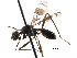  (Cardiacephala picinus - CCDB-29054-B05)  @11 [ ] CreativeCommons - Attribution (2016) CBG Photography Group Centre for Biodiversity Genomics