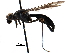  ( - CCDB-29054-D12)  @13 [ ] CreativeCommons - Attribution (2016) CBG Photography Group Centre for Biodiversity Genomics