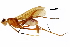  ( - Sample-demo15)  @11 [ ] CreativeCommons - Attribution (2018) CBG Photography Group Centre for Biodiversity Genomics