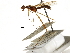  ( - Sample-demo55)  @11 [ ] CreativeCommons - Attribution (2018) CBG Photography Group Centre for Biodiversity Genomics