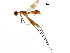  ( - Sample-demo69)  @11 [ ] CreativeCommons - Attribution (2018) CBG Photography Group Centre for Biodiversity Genomics