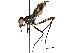  (Paragrallomyia inornata - Sample-demo79)  @11 [ ] CreativeCommons - Attribution (2018) CBG Photography Group Centre for Biodiversity Genomics