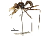  ( - Sample-demo80)  @11 [ ] CreativeCommons - Attribution (2018) CBG Photography Group Centre for Biodiversity Genomics