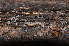  ( - BC ZSM MYR 00261)  @11 [ ] CreativeCommons - Attribution Non-Commercial Share-Alike (2010) Unspecified SNSB, Zoologische Staatssammlung Muenchen