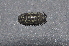  (Armadillidium versicolor - BC ZSM MYR 00568)  @14 [ ] CreativeCommons - Attribution Non-Commercial Share-Alike (2010) Joerg Spelda SNSB, Zoologische Staatssammlung Muenchen