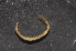  ( - BC ZSM MYR 00523)  @12 [ ] CreativeCommons - Attribution Non-Commercial Share-Alike (2010) Joerg Spelda SNSB, Zoologische Staatssammlung Muenchen