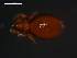  ( - MYMCA-04-28)  @12 [ ] CreativeCommons - Attribution (2011) Monica Young Centre for Biodiversity Genomics