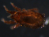  ( - BIOUG01068-90)  @13 [ ] CreativeCommons - Attribution (2011) Monica Young Centre for Biodiversity Genomics