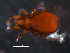  ( - BIOUG01072-32)  @12 [ ] CreativeCommons - Attribution (2011) Monica Young Centre for Biodiversity Genomics
