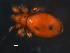  ( - BIOUG01097-82)  @12 [ ] CreativeCommons - Attribution (2011) Monica Young Centre for Biodiversity Genomics