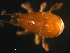  ( - BIOUG01937-47)  @11 [ ] CreativeCommons - Attribution (2012) Monica Young Centre for Biodiversity Genomics