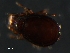  ( - BIOUG01939-65)  @12 [ ] CreativeCommons - Attribution (2012) Monica Young Centre for Biodiversity Genomics