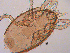  ( - BIOUG01941-83)  @12 [ ] CreativeCommons - Attribution (2014) CBG Photography Group Centre for Biodiversity Genomics