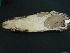  ( - MAMX-081)  @11 [ ] Unspecified (default): All Rights Reserved  Unspecified Unspecified