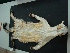  ( - MAMX-111)  @11 [ ] Unspecified (default): All Rights Reserved  Unspecified Unspecified