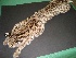  ( - MAMX-113)  @11 [ ] Unspecified (default): All Rights Reserved  Unspecified Unspecified