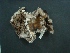  ( - MAMX-114)  @11 [ ] Unspecified (default): All Rights Reserved  Unspecified Unspecified