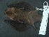  ( - MAMX-142)  @14 [ ] Unspecified (default): All Rights Reserved  Unspecified Unspecified