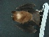  ( - MAMX-145)  @14 [ ] Unspecified (default): All Rights Reserved  Unspecified Unspecified