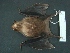  ( - MAMX-147)  @12 [ ] Unspecified (default): All Rights Reserved  Unspecified Unspecified