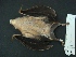  ( - MAMX-148)  @12 [ ] Unspecified (default): All Rights Reserved  Unspecified Unspecified