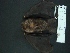  ( - MAMX-186)  @11 [ ] Unspecified (default): All Rights Reserved  Unspecified Unspecified